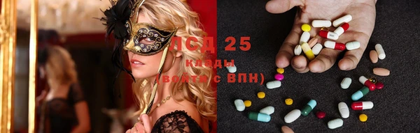 бошки Магас