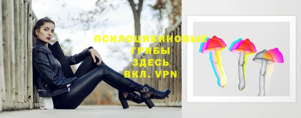 бошки Магас