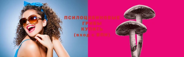 бошки Магас