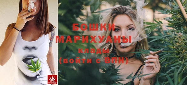 гашик Медногорск