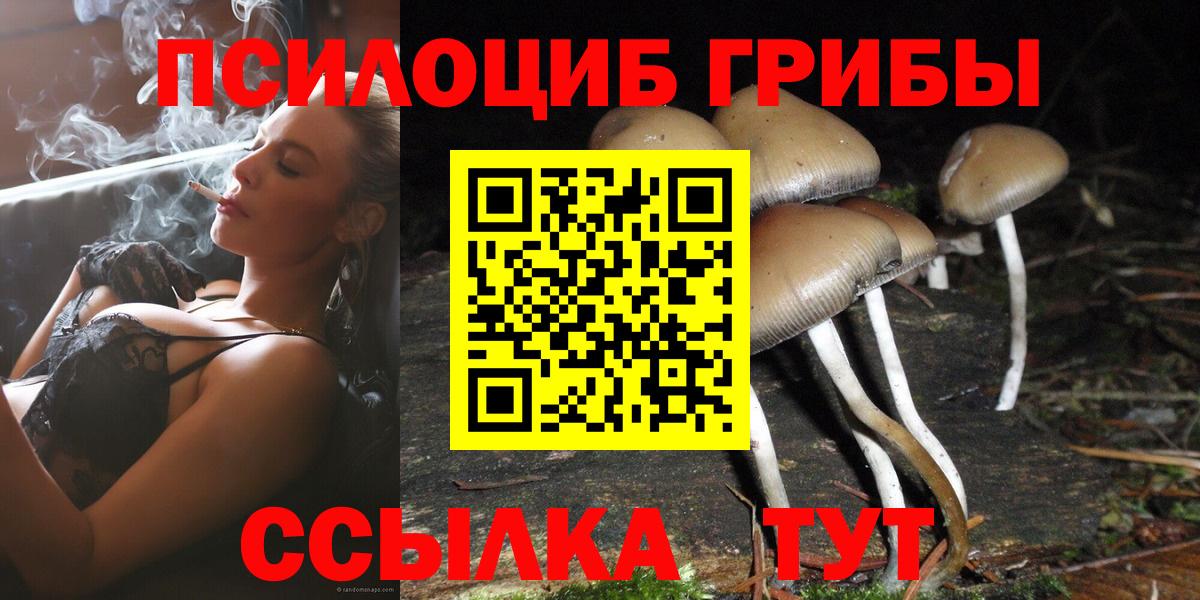 Галлюциногенные грибы GOLDEN TEACHER  где купить   Краснокамск  Вход с VPN  Псилоцибиновые грибы Magic Shrooms 